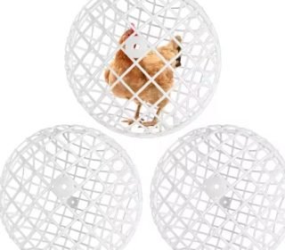 412VWaIRkdL._AC_ (1)