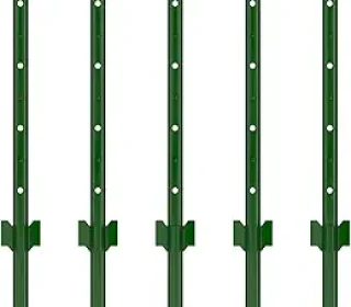 61-w3PIIsmL._AC_SY300_SX300_QL70_FMwebp_