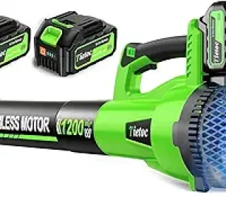 613oScEb3nL._AC_SX300_SY300_QL70_FMwebp_