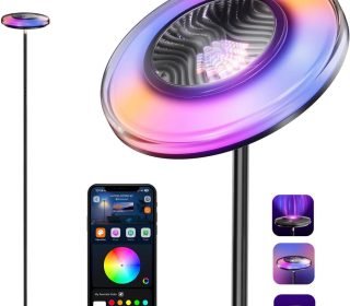 617Lt-0om-L._AC_SL1446_