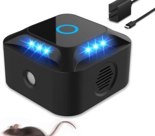 61RnBG-VbDL._AC_SL1500_