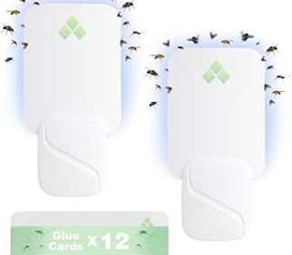 61Yv0EvNnQL._AC_SY300_SX300_QL70_ML2_