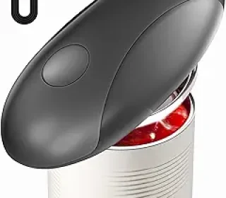 61rSJwWCBbL._AC_SY300_SX300_QL70_FMwebp_