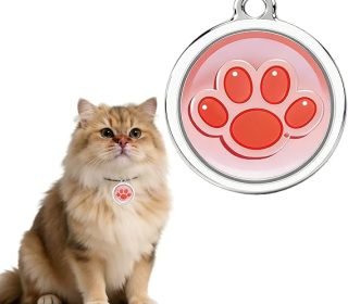 61y87ja28DL._AC_SX569_