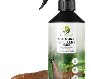 715Ug-z2L3L._AC_SL1500_