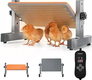 716VwUTF4nL._AC_SY300_SX300_QL70_FMwebp_