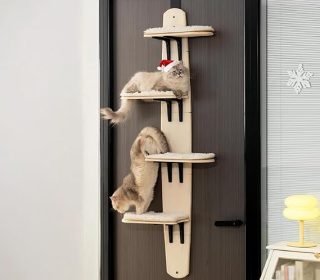 71HC5Dho-1L._AC_SX569_