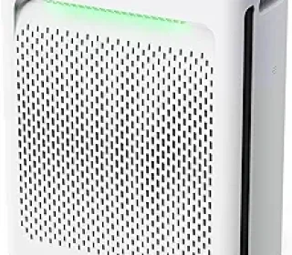 71L4AjlPZQL._AC_SY300_SX300_QL70_FMwebp_