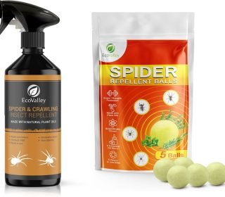 71NH9GlLVJL._AC_SL1500_