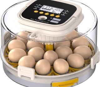 71Q7Z4sKEcL._AC_SL1500_