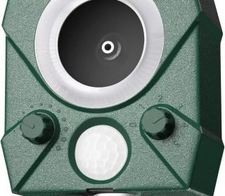 71QB8YZ+j0L._AC_SL1500_