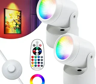 71R-maDCtnL._AC_SX342_SY445_QL70_FMwebp_ (1)