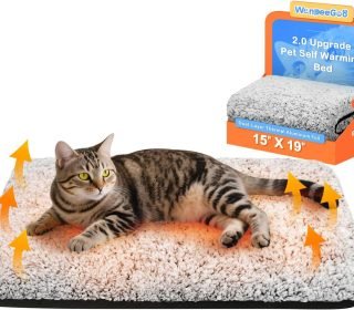 71T7Mtj2eDL._AC_SL1500_