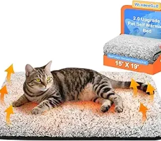 71T7Mtj2eDL._AC_SX300_SY300_QL70_FMwebp_