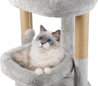 71Zqdvyc9nL._AC_SL1500_