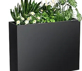 71aeP6cgDPL._AC_SY300_SX300_QL70_FMwebp_