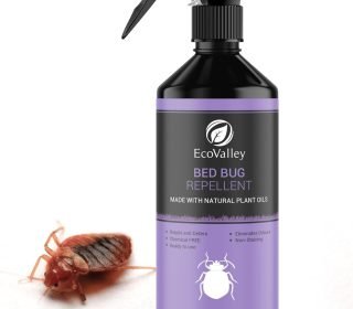 71ljWjxfKeL._AC_SL1500_ (1)