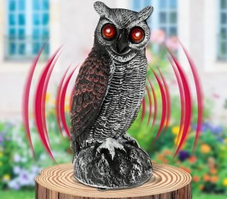 819-ZrwE1-L._AC_SL1500_ (1)