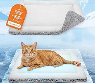 81BrR+FV8dL._AC_SY300_SX300_QL70_FMwebp_