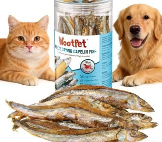 81QKWOMP94L._AC_SL1500_