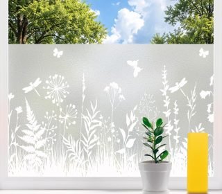 81Qtr5E8ymL._AC_SL1500_