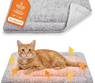 81ZOaz7ZmhL._AC_SL1500_