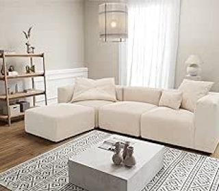 81bXuGSJgtL._AC_SX300_SY300_QL70_ML2_