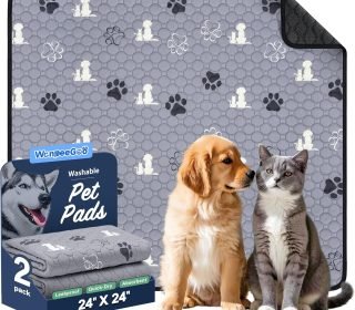 91lxt7Hr1AL._AC_SL1500_